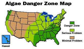 Houston located in algae danger zone